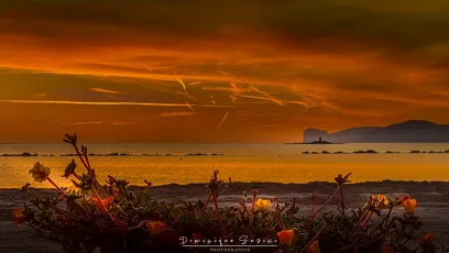 Sardinia-Alghero-Capo Caccia