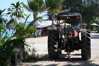 DSC_6302: An old tractor parked on a sandy beach road with palm trees and seaside shops in the background.