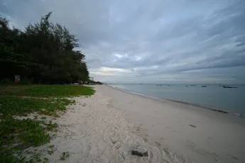 DSC_6668: A tranquil, empty sandy beach at dawn with calm waters, scattered boats on the horizon, and a line of trees under a cloudy sky.