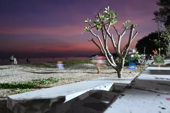 DSC_7789: A lone tree on a beach promenade at dusk, people blurred as they stroll along the shoreline under a purple-pink sky.