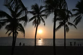 DSC_8261: Golden sunset over the ocean, framed by silhouetted palm trees and a lone sailboat on the horizon.