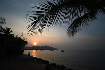 DSC_8634: a boat sitting on top of a beach next to a palm tree