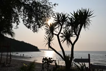 DSC_8699: the sun is setting on the beach with a tree in the foreground