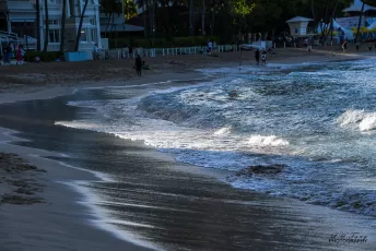LHT_5372 - Waikiki Beach