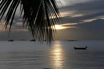 DFC_1155: Golden sunset over calm waters, a lone boat silhouetted beneath swaying palm fronds.