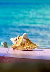 Da Conch Shack - Providenciales, Turks & Caicos Islands