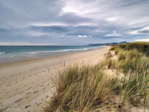 A Beach Built of Daydreams