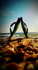 -Goodbye Summer-