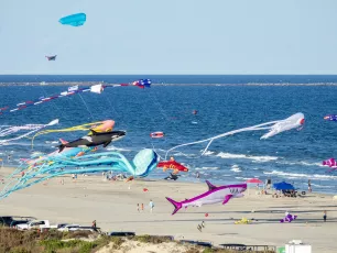 Beach Kites