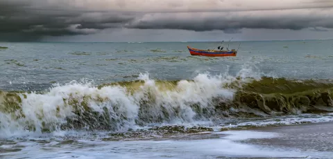 The Boat