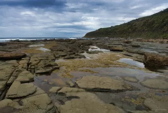 Insert Standard Beach Shot Here