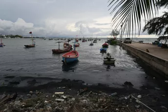 DFC_2224: Fishing boats bob in a calm, overcast harbor as a litter-strewn shoreline and palm fronds frame the scene.