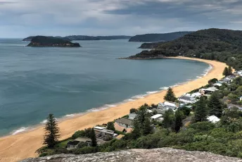 The Golden Curve of Pearl Beach