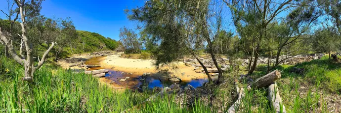 Flood Log Jam - In Black Head Back Beach Creek from Record Floods in the Manning River May 2025
