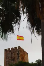 Rojigualda through the Palms