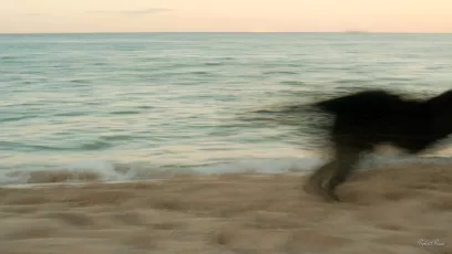 L'estate fugge veloce! (Explore November 1, 2025)