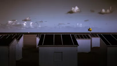 yellow fish at the horizon