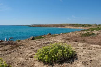 54906487502_71b1c575a5_k