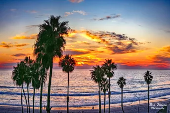 Oceanside Pacific Sundown 5Dii 24X70mm