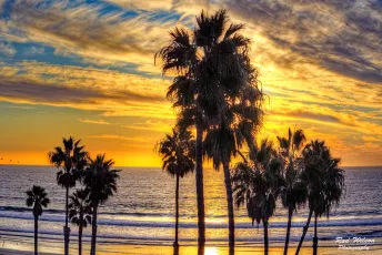 O'Side Sunset Palms 5Dii 24X70mm