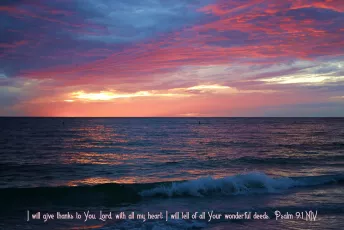 John's Pass Park • Madeira Beach, FL