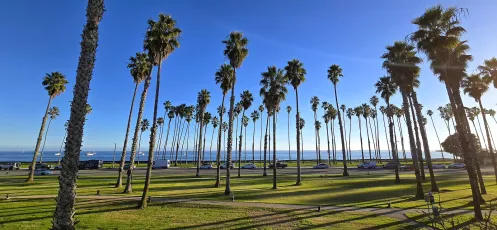 Southern California .....