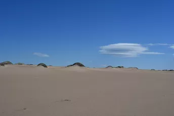 beach scape : Guadalupe Dunes