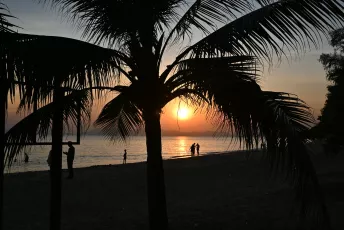 DFC_3871: Golden sunset framed by swaying palms as silhouettes stroll the shoreline.