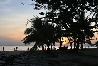 DFC_3880: Silhouetted palm trees and people line a tranquil beach as the sun sets over calm waters.