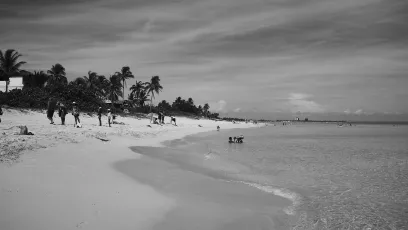 54956982998_6547f2ea78_k