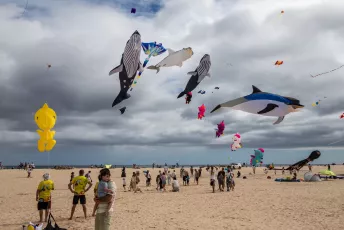 Fuerteventura International Kite Festival 2025