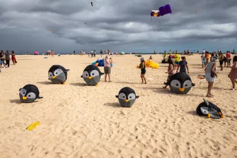 Fuerteventura International Kite Festival 2025