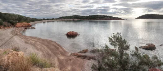 Un jour béni (A blessed day)