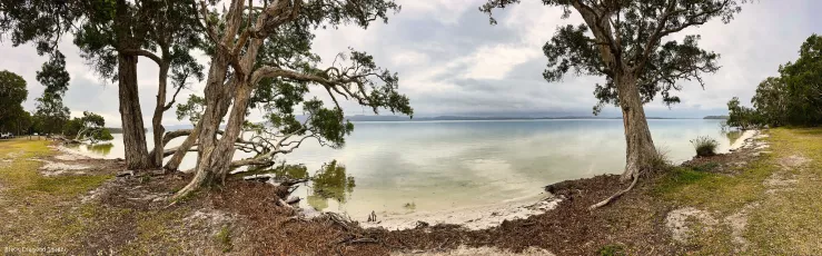 The Sailing Club, Booti Booti National Park, Wallis Lake, Forster, NSW