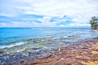 Beach Road View - Honolulu, Oahu, Hawaii