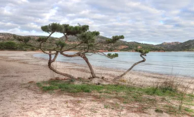 Faire de la résistance