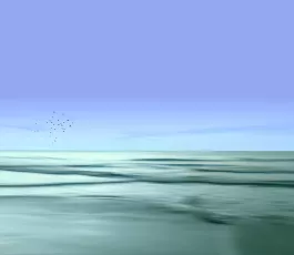 Ocean again - Sri Lanka again