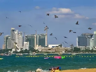 ...birds infinity sign