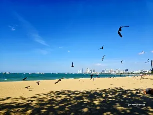 ...fly towards a destination