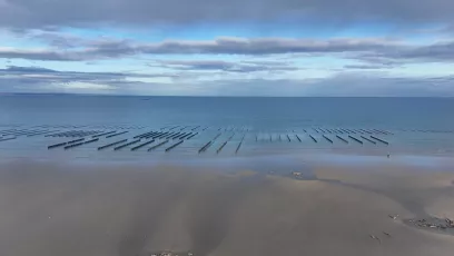 parc moules 1er janvier