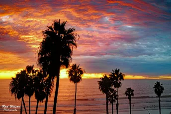 O'Side Crimson Sunset 6Di 24X70mm