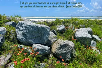 Jacksonville — Little Talbot Island