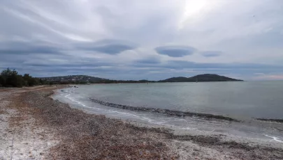 Méduses célestes 😊