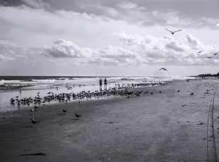 Cocoa Beach, Morning