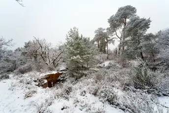 Point de vue du camp de Chailly