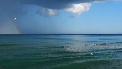 Fly into the rainbow