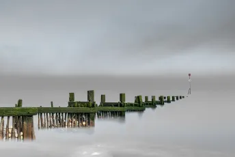 Green Groynes