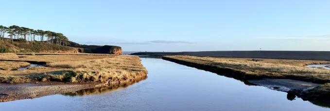 55066547790_4ab913d43a_k