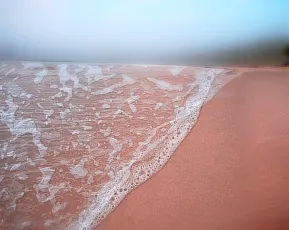 Not a Lace Nightdress