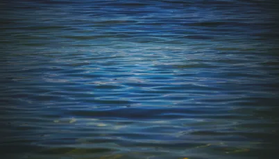 Surface Calm. Opossum Bay, Tasmania.